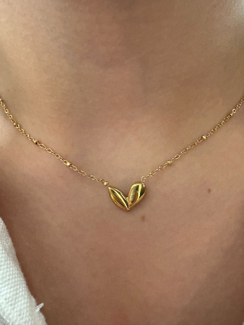 Colar Coração – Amor e Delicadeza ✨