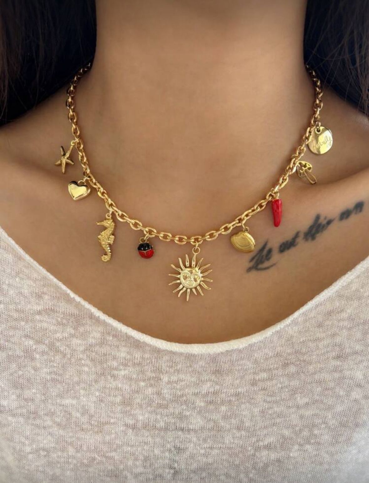 Colar Encantador com Pingentes Diversos ✨